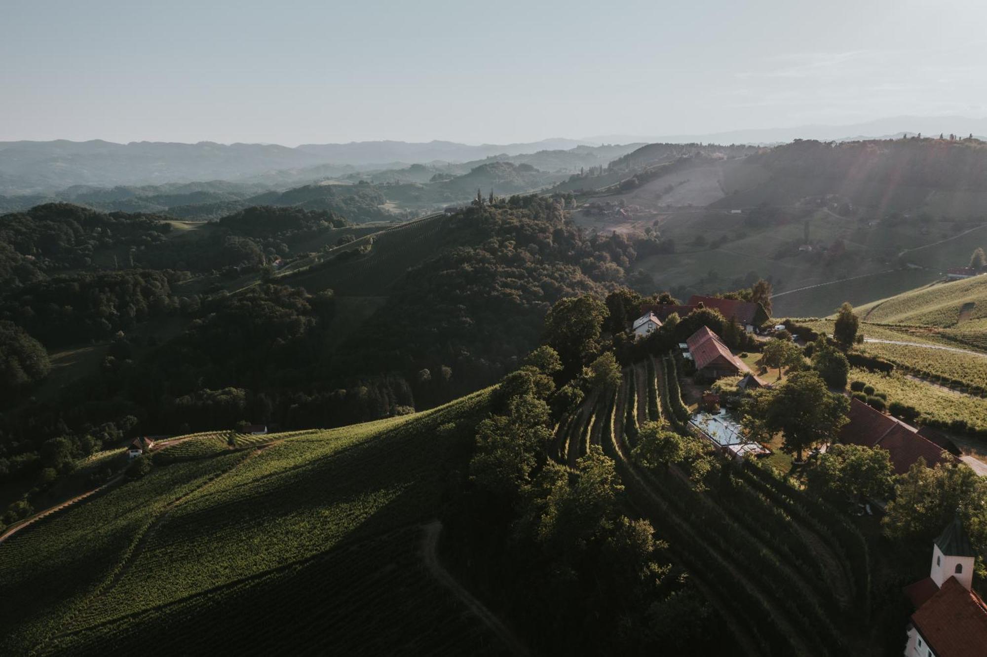 Winzarei, Weingut Tement Villa Berghausen Exterior foto