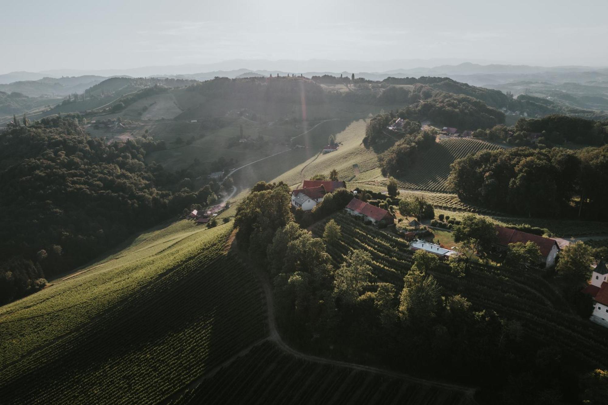 Winzarei, Weingut Tement Villa Berghausen Exterior foto